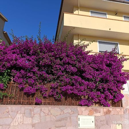Bouganville Olmedo Exterior foto