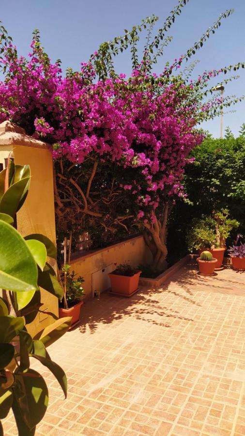 Bouganville Olmedo Exterior foto